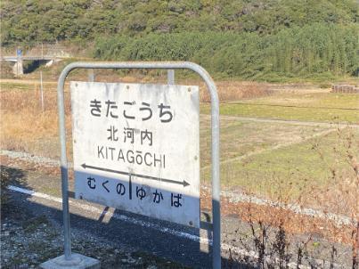 2023nori7-15.jpg