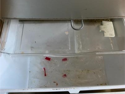 dinner7.jpg