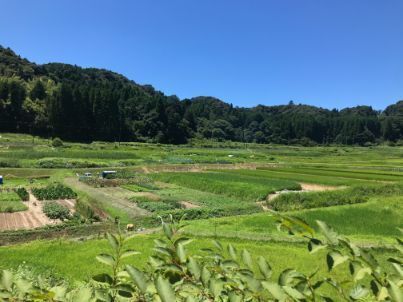 komi-isumi4-8.jpg